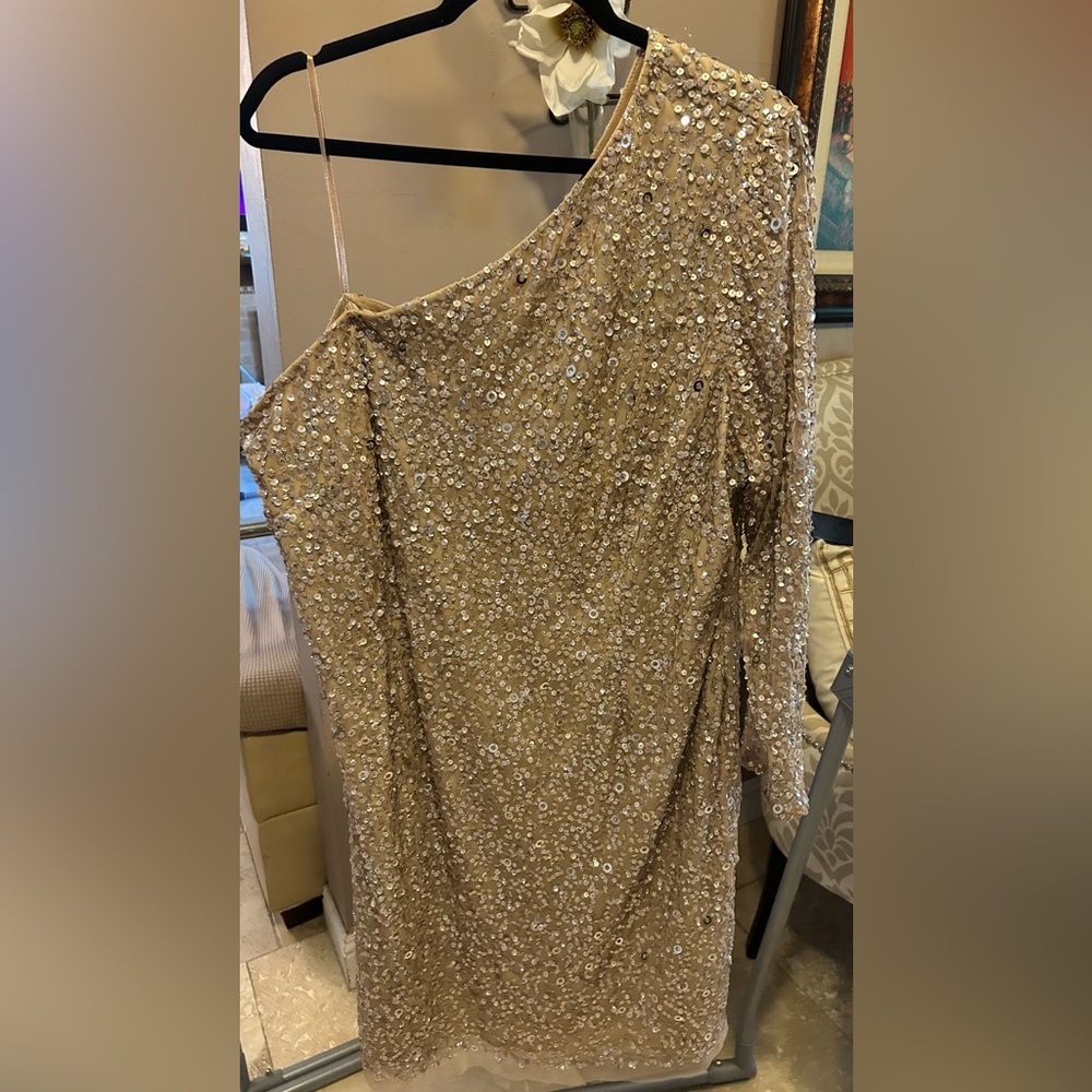 Adrianna Papell Sequin Dress 22W